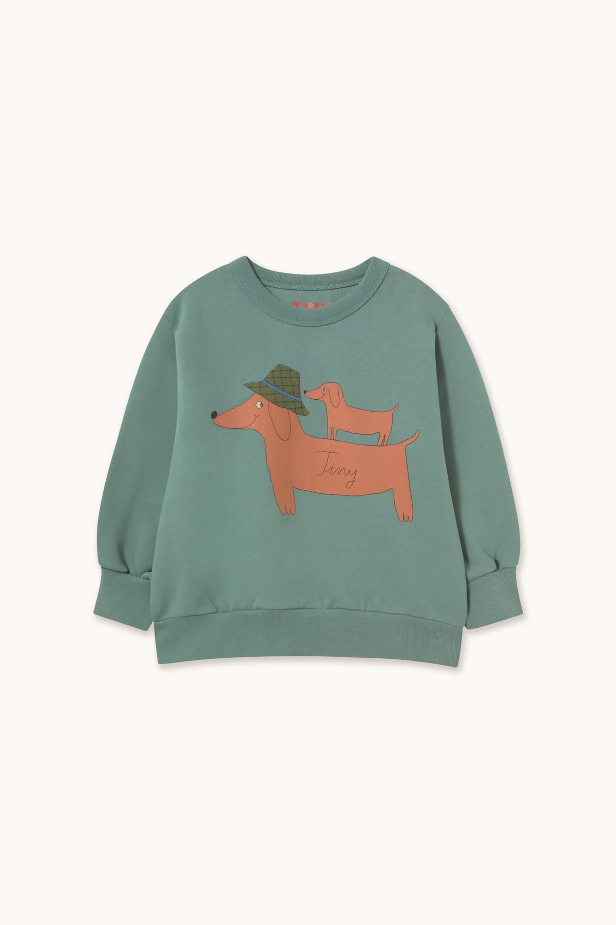 Tiny Cottons Two Dogs Sweatshirt - Teal